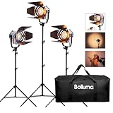 BOLLUMA Luce fissa Fresnel Wolfram Spotlight Proiettore 300W Kit Pro Film Fresnel Tungsten Spotlight Lighting Studio Video per film, pubblicità, TV speciale, fotografia digitale 3 set