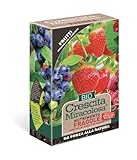 BLUMEN CONCIME GRANULARE PER FRAGOLE, MIRTILLI, FRUTTI DI BOSCO - CRESCITA MIRACOLOSA BIO 450G