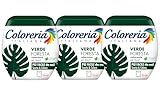 Coloreria Italiana Grey Colorante Tessuti e Vestiti in Lavatrice, Verde Foresta, 3 Confezioni da 350g