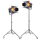 Kit 2X 2000W Fresnel alogena al tungsteno Spotlight Lighting Studio Video Light Bulb