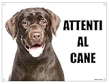 LABRADOR CIOCCOLATO attenti al cane mod 2 TARGA cartello IN METALLO (15X20)