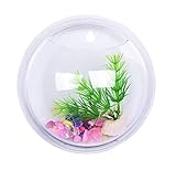 Acquario da muro - vaso - pesci in vetro - piante idroponiche - design da parete - visto in televisione - da 15 cm - Idea Regalo originale