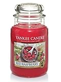 Yankee Candle candeline profumate tea light | Lampone rosso | 12 pezzi