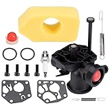 FanPaYY Kit carburatore per tosaerba Briggs and Stratton con filtro aria, viti, molla di regolazione, membrana, pompa carburante, candela # 499809 498809A 494406