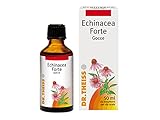 Dr. Theiss Echinacea Forte - Echinacea Normali Difese Immunitarie Adulti 50 ml in Gocce - Integratore Alimentare per la Fisiologica Funzionalità del Sistema Immunitario