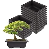 ZEONHEI 15 vasi da allenamento grandi per bonsai, 22,5 x 16,5 x 7,5 cm, in plastica, per giardino, cortile, soggiorno, balcone, piante in vaso