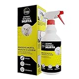 ZOMAHOME Spray Antimuffa per Muri Interni ad azione prolungata, Antimuffa spray Universale Ideale Anche Come Antimuffa per Armadio - 750ml