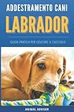 ADDESTRAMENTO CANI LABRADOR: Guida pratica per educare il cucciolo di Labrador