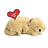 Perfect Petzzz 5519717 Cucciolo di Golden Retriever che dorme e respira, 25 cm