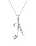 Mesovor Collana con Iniziale in Argento Sterling 925 per Donna, Regali di Gioielli con Collana con Lettera in Argento Sterling per Madre Sorella Moglie (A)