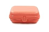 TUPPERWARE Ostriche Contenitore Snack salmone 38125