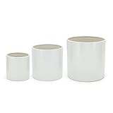 Amazon Basics - Rotondo Vasi in ceramica lisci di dimensioni assortite, 3 unità , bianco, 15.2 cm, 20.3 cm, 25.4 cm