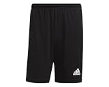 adidas Squadra 21 Shorts Uomo, Black/White, L