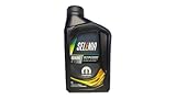 Olio motore Selenia WR 5W30 LT. 4