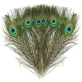 MWOOT 15 Pezzi Naturali Piume di Pavone Pavone Piume di Coda, per i monili Domestici della Decorazione di DIY Carnevale di Venezia Tutti i Festival Halloween Artigianato Forniture (28-32CM)