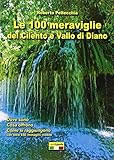 Le 100 meraviglie del Cilento e Vallo di Diano. Con mappa