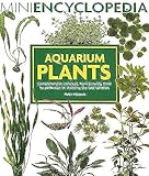 Aquarium Plants: Comprehensive Coverage, From Growing Them To Perfection To Choosing The Best Varieties