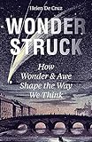 Wonderstruck: How Wonder and Awe Shape the Way We Think