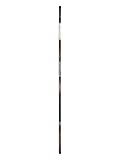 Daiwa Amorphous Canna Bolognese Power (AVP70-BI)