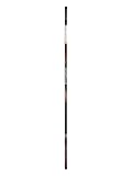 Daiwa Amorphous Canna Bolognese Power (AVP60-BI)