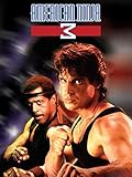 American Ninja 3