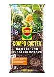 Compo 1122102004 Cactéa cactus e Sukkulentenerde, 5L