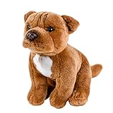 American Staffordshire Terrier seduto 30 cm, marrone