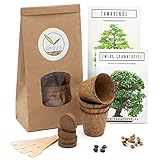 HAPPY SEED Bonsai Kit incl. eBook Gratuito - Starter Set con vasi di Cocco, Semi e Terra - Idea Regalo sostenibile per Gli Amanti delle Piante (Melograno Nano + Tamarindo)