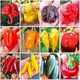 120 Semi Peperoncino In 12 Varietà Delle Più Piccanti e Gustose Del Mondo, Collezione 2 + Guida Coltivazione: CAROLINA REAPER, SCORPION, JIGSAW, BHUTLAH, HABANERO, FATALII, ACRATA, JALAPENO, SATANA