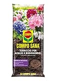 COMPO SANA Terriccio per Azalee e Rododendri, Per Tutte le Piante Acidofile, Con Guano, Sacco 20 L