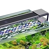 hygger Luce Led per Acquario,Luce per Acquario a Spettro Completo con Monitor LCD,10W 24/7 Illuminazione LED per acquario con 10 Colori, Timer Regolabile per Acquario con Piante da 18-30cm