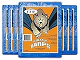 B-Air BA-GT-8X10-BL-4 Tarp, blu, 8X10