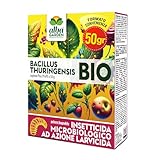 Albagarden - Insetticida Piante Microbiologico ad Azione Larvicida - 50 GR Bacillus Thuringiensis Kurstaki - Contro le Larve di Parassiti, Insetti dell orto e Giardino - Polvere Bagnabile