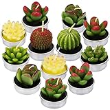 LA BELLEFÉE Candele Cactus, Candela Succulente Piante Verde per Decorazioni Casa Natale Compleanno Bomboniere Matrimonio Cena Feste 12 Pezzi