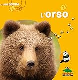 L orso