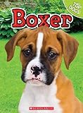 Boxer