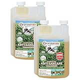 2x Insetticida ANTI ZANZARE Concentrato, Con Solvente a Basso Impatto Ambientale. Azione Abbattente e Prolungata. Flacone Con Dosatore. Dose Per Trattare 750 mq ca. Di Superficie 500ml