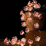 Elepl Ghirlanda Luminosa 9,8 Piedi /30 LED Decorativa Luci Della Stringa Fata Luci Ghirlanda Luminosa Fiori di Ciliegio per Decorazione per Matrimoni Feste Cortile Campeggio Bar (No batteria)