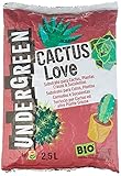 Undergreen CACTUS Love, Terriccio per Cactus e altre Piante Grasse da appartamento o balcone, Consentito in agricoltura biologica, 2,5 l