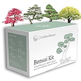 LittlestForest - Kit bonsai da coltivare completo - Tutto il necessario per coltivare le proprie bonsai pianta vera - Semi e strumenti per coltivazione - idee per regali originali