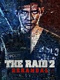 The Raid 2: Berandal