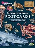 Oceanarium postcards