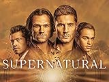 Supernatural: The Complete Twelveth Season