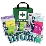 Lewis-Plast Kit di Primo Soccorso Premium da 90 Pezzi Include Collirio, 2 Pacchi di Ghiaccio e Coperta di Emergenza, Ideale per Auto, Casa, Lavoro e Vacanze - Borsa per Pronto Soccorso