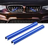 AggAuto Inserti per griglia per BMW F10 F20 F30 F25 Strisce per griglia per BMW Serie 1/2/3/4/5/6/7/X1/X2/X3/X4/X5 (F20 F30, Blu)