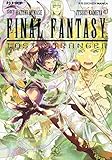 Final Fantasy. Lost stranger (Vol. 4)