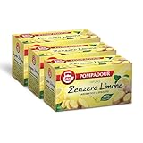 Pompadour, Infuso Zenzero e Limone, 60 Filtri (3 Confezioni da 20 Filtri), Aromatico e Speziato, 100% Naturale, Senza Lattosio, Glutine e Allergeni, Vegan