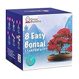 Bonsai Tree Kit | Grow your own 8 beautiful bonsai varieties at home| Complete growing kit - Suitable for beginners and experts - Memorable gift for women, men and children