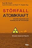 Störfall Atomkraft (German Edition)