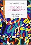 Che cos è un numero. Un introduzione all algebra